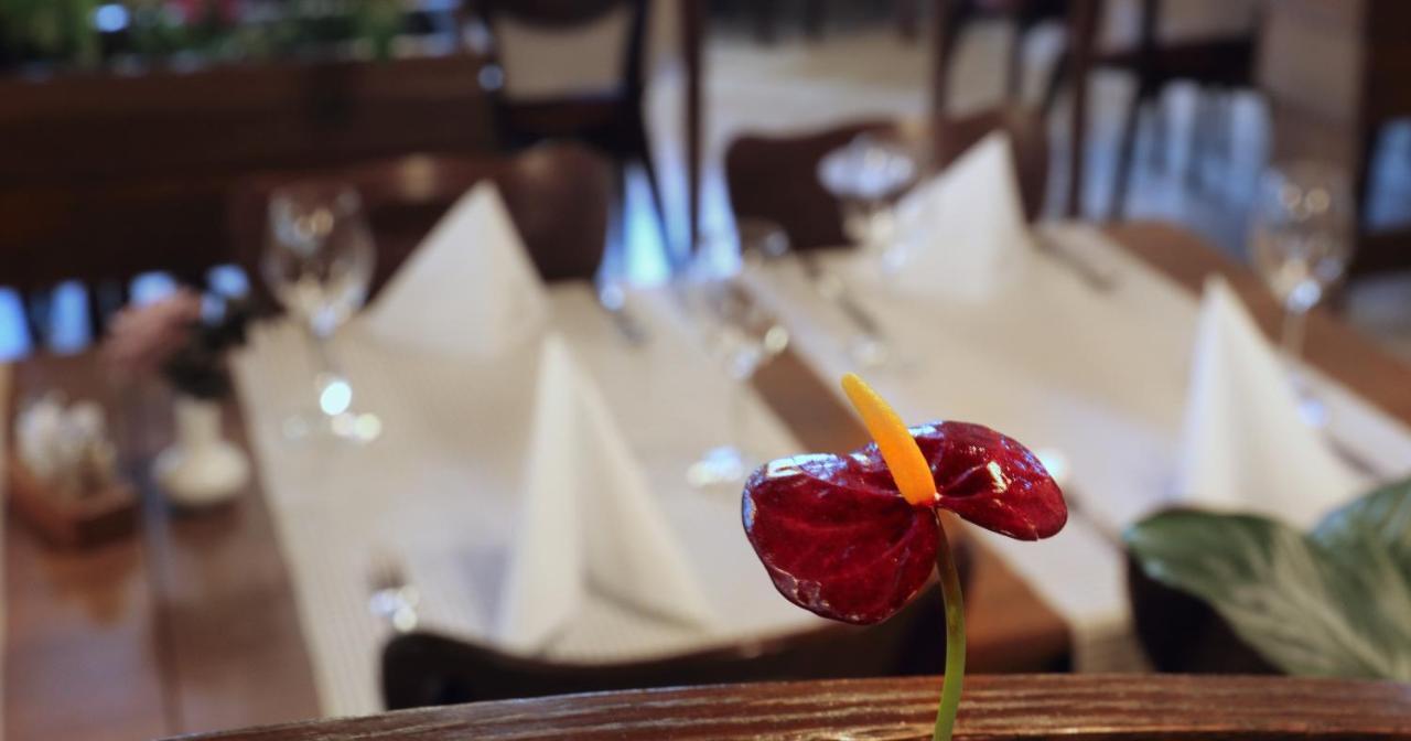 Hotel Tripic, Restaurant And Pizzeria Bohinj Dış mekan fotoğraf